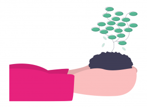 Plante qui pousse dans des mains au couleur de BPHR Conseil